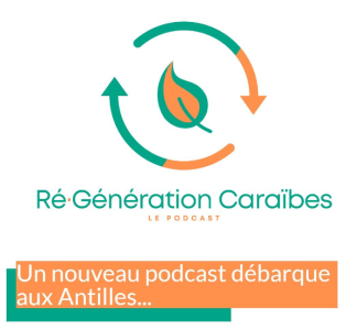 regeneration caraibes